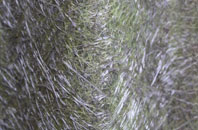 Marden Ash fibreglass roof work